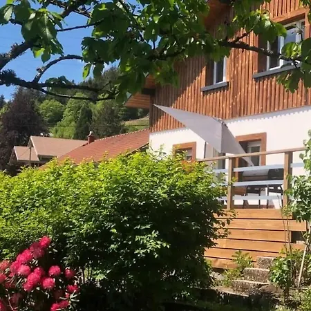 La Chaume Des Xettes / 10-14 Pers - Vue Holiday home Gerardmer