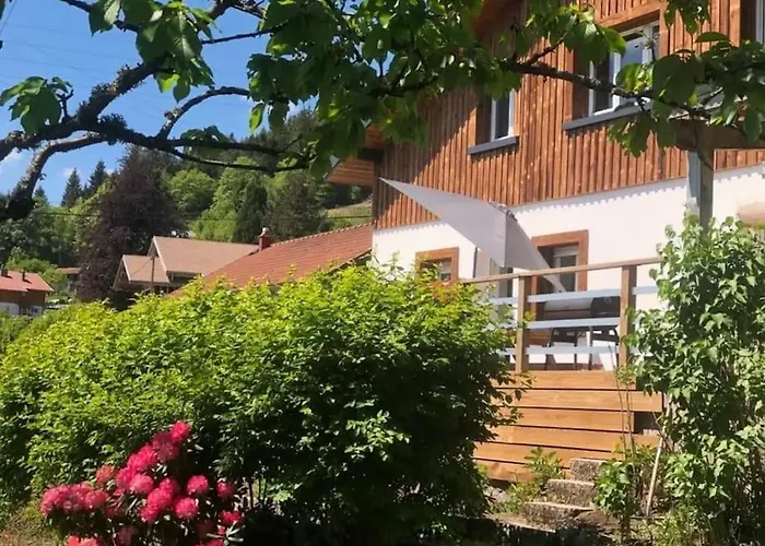 La Chaume Des Xettes / 10-14 Pers - Vue Dom wakacyjny Gérardmer